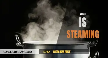 Steaming: The Art of Cooking with Steam