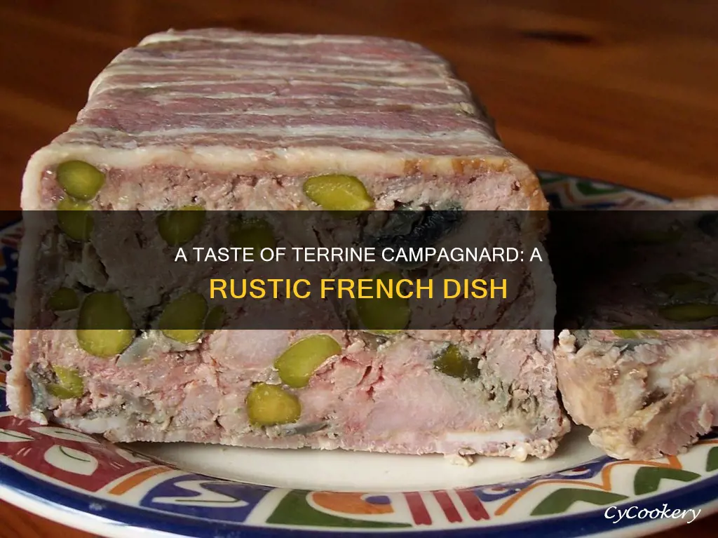 what is terrine campagnard