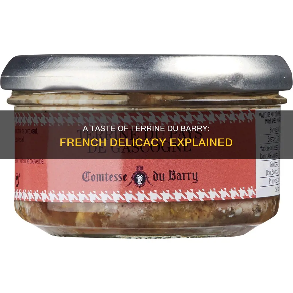 what is terrine du barry