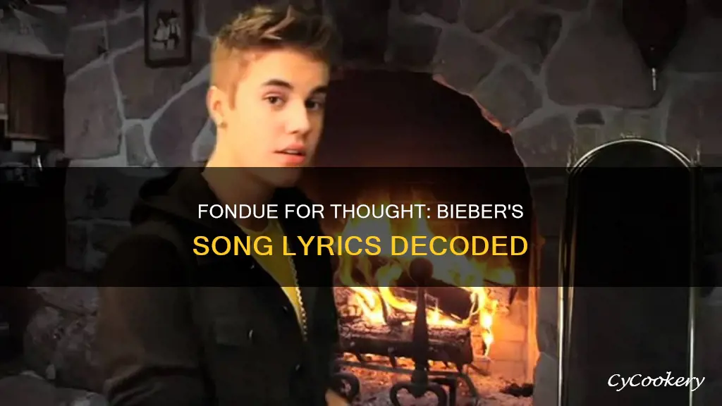 what is th wsong that says fondue by justin bibebr