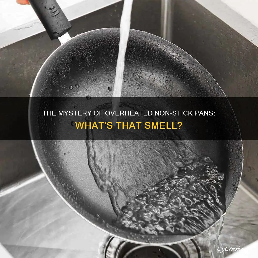 what is that smell after you overheat a non-stick pan