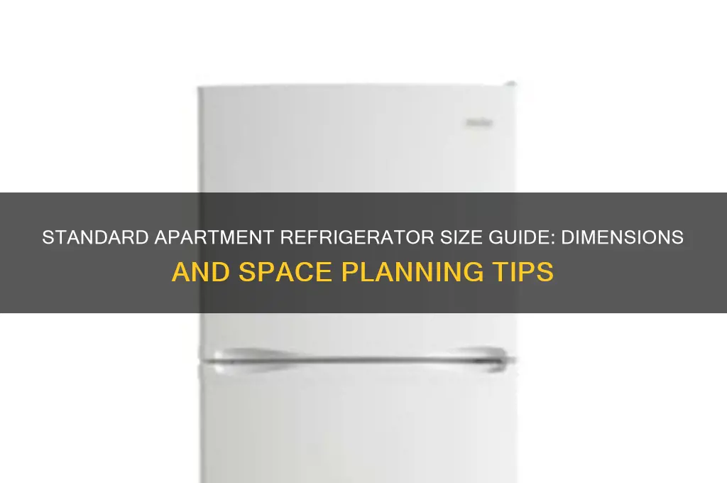 what is the apartment standard refrigerator size