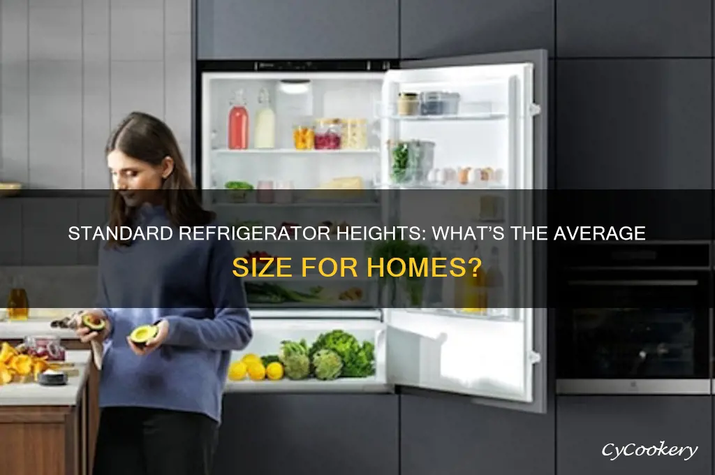 what is the average height of a refrigerator
