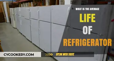 How Long Do Fridges Last? Average Lifespan of Refrigerators Explained