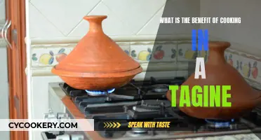 Unlocking Tagine's Magic: Delicious, Tender, Moisture-Locked Cooking