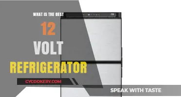 Top 12 Volt Refrigerator Options for Efficient Cooling on the Go