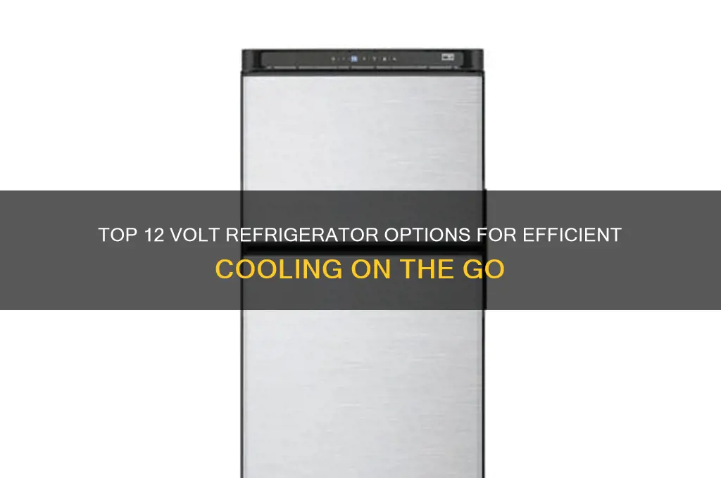 what is the best 12 volt refrigerator
