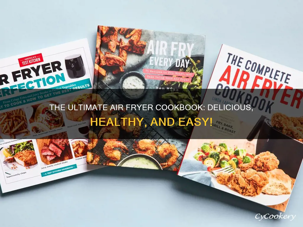 what is the best air fryer cook book