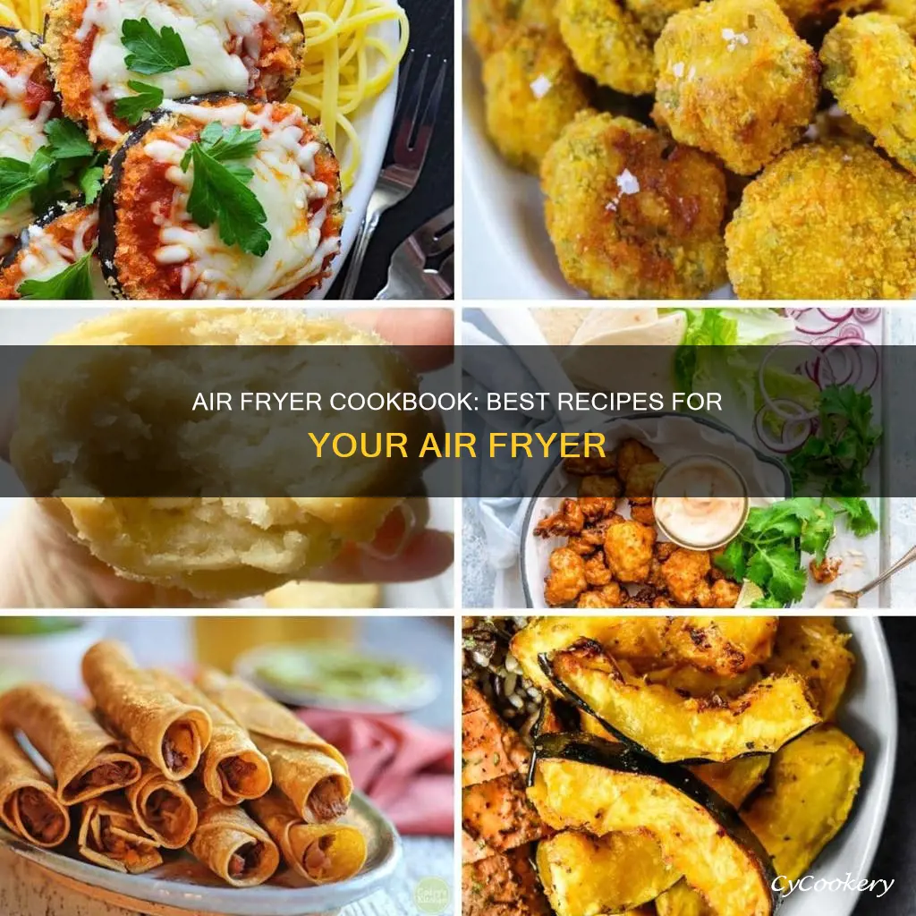 what is the best air fryer cook book