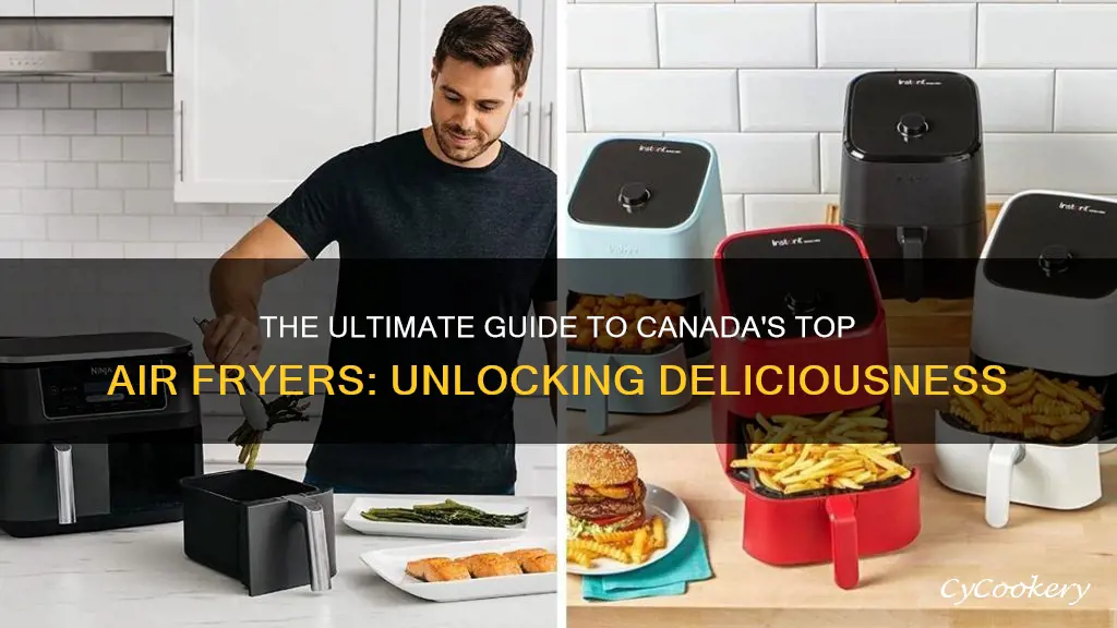 what is the best air fryer in canada