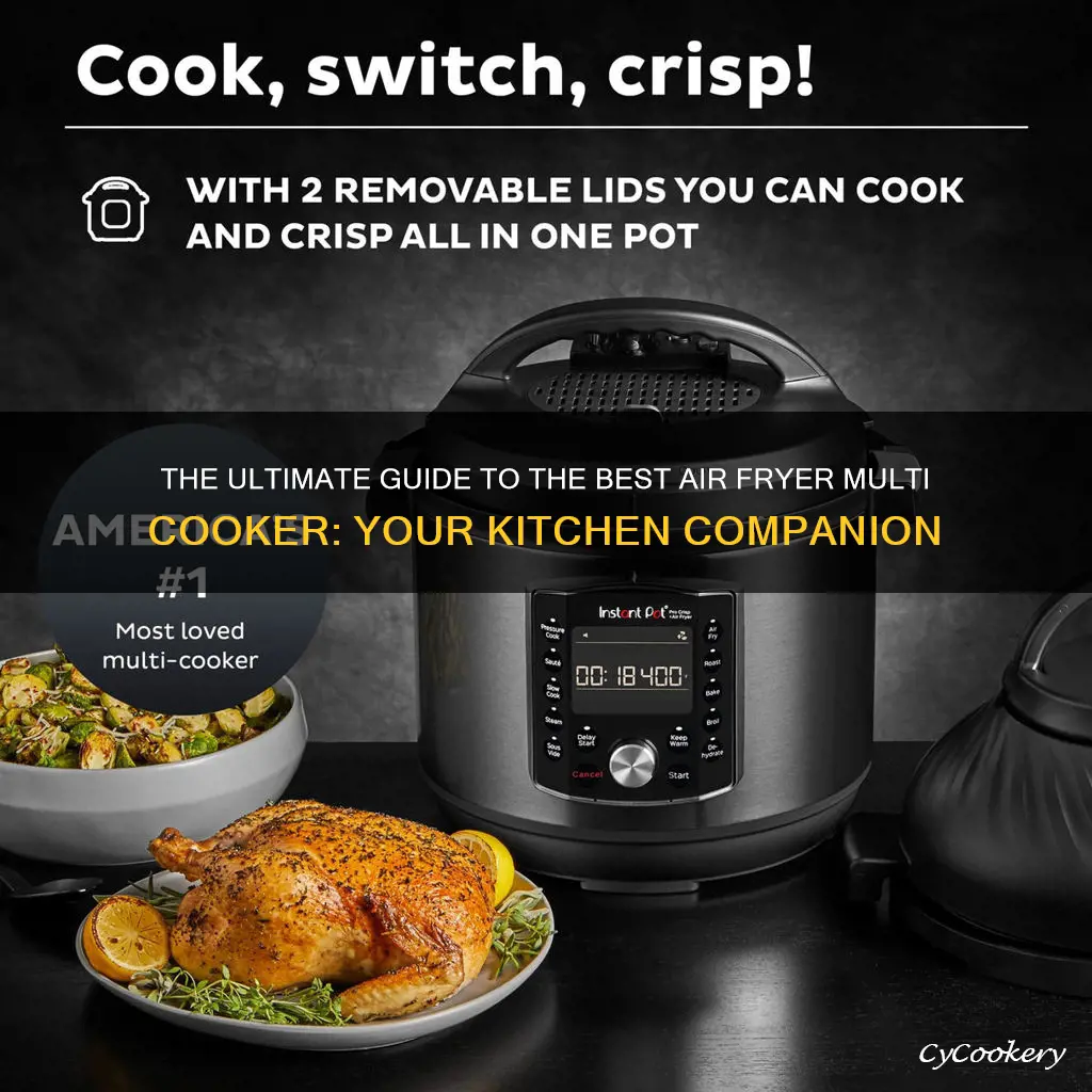 what is the best air fryer multi cooker