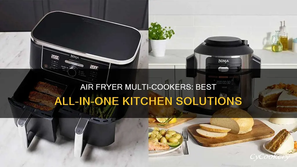 what is the best air fryer multi cooker