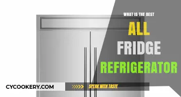 Top All-Fridge Refrigerators: Ultimate Guide to the Best Models