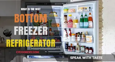 Top Picks: Best Bottom Freezer Refrigerators for Modern Kitchens