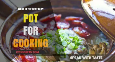 Discover the Perfect Clay Pot for Authentic, Flavorful Cooking