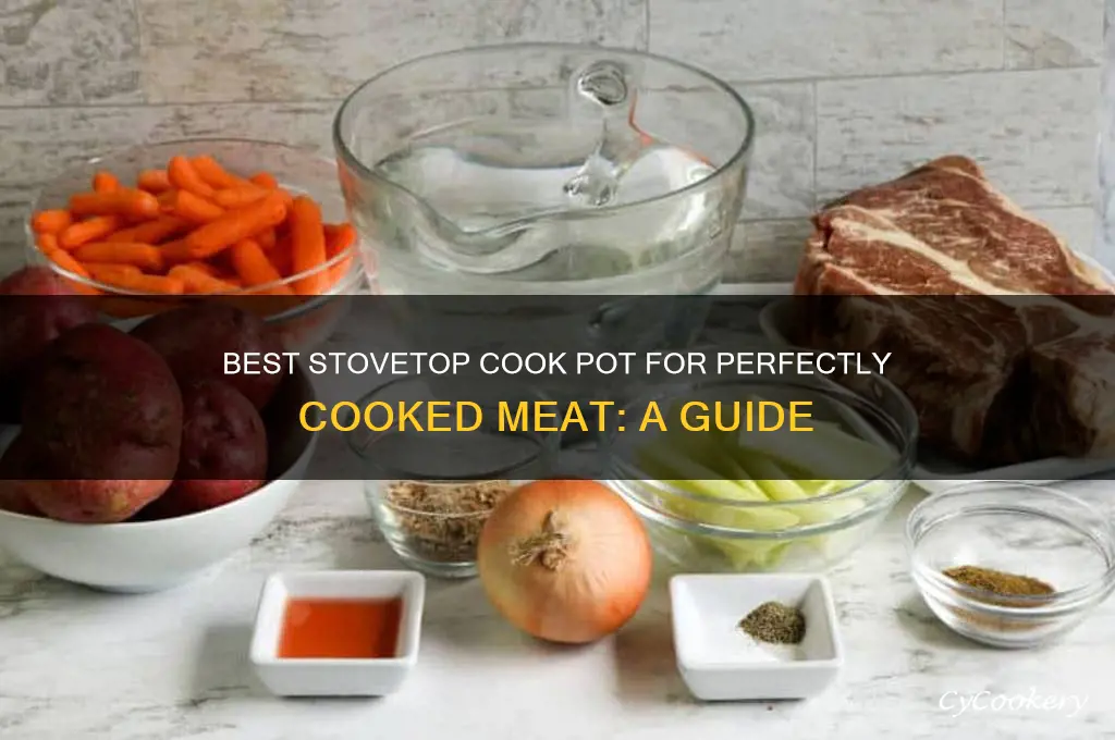 what is the best cook pot to meat on stovetop