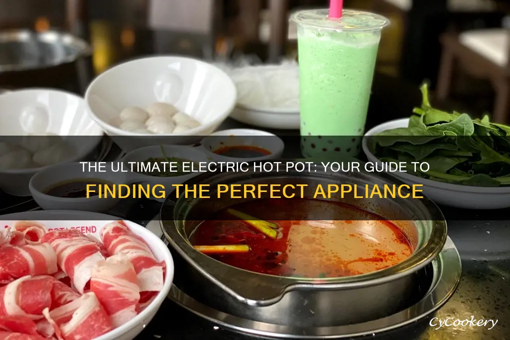 what is the best electric hot pot