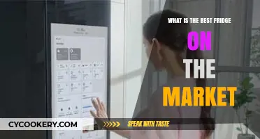 Top-Rated Refrigerators: Discover the Best Fridge for Your Kitchen