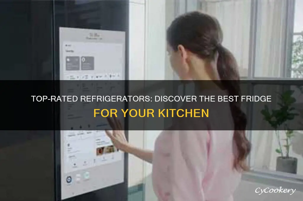 what is the best fridge on the market