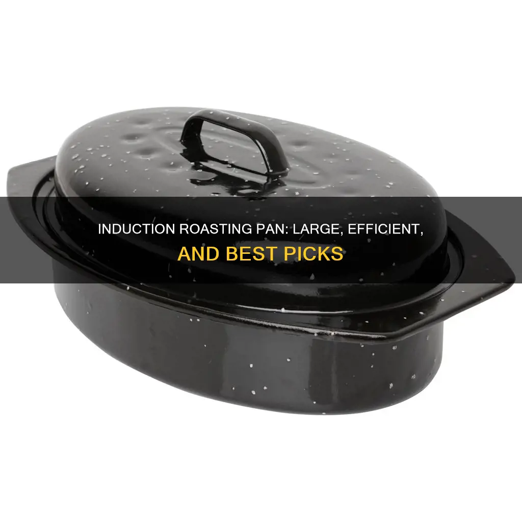 what is the best induction large roasting pan