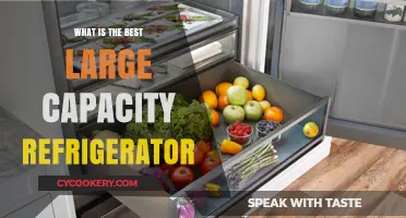 Top Large Capacity Refrigerators: Ultimate Guide to Spacious Cooling Solutions