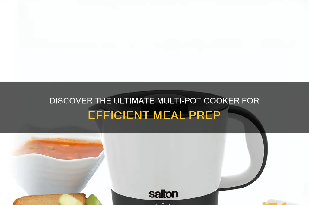what is the best multi pot cooker