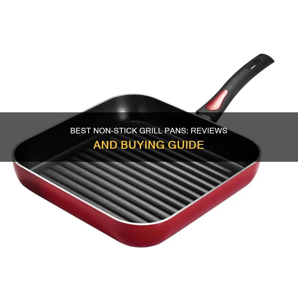 what is the best non stick grill pan