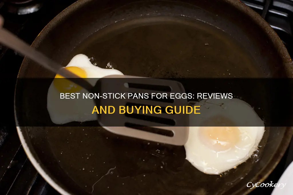 what is the best non stick pan for eggs