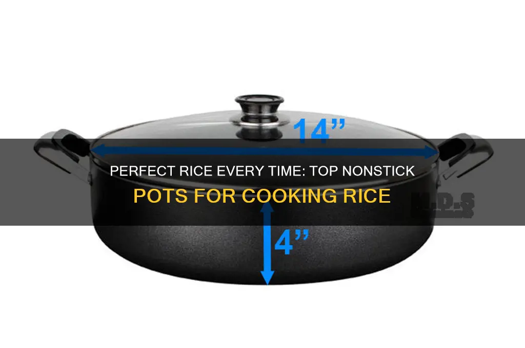 what is the best nonstick pot to cook rice in