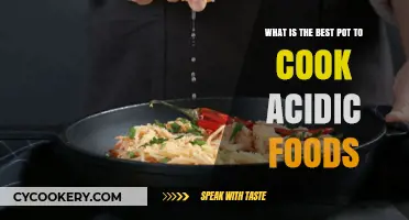 Best Pots for Acidic Foods: Top Materials and Tips for Cooking