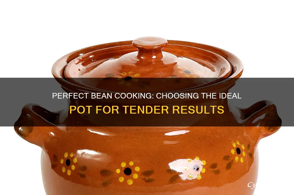 what is the best pot to cook beans in