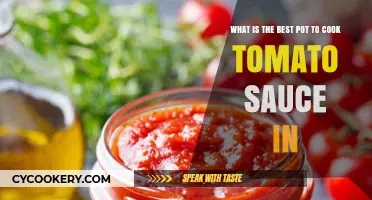 Perfect Tomato Sauce: Choosing the Ideal Pot for Flavorful Results