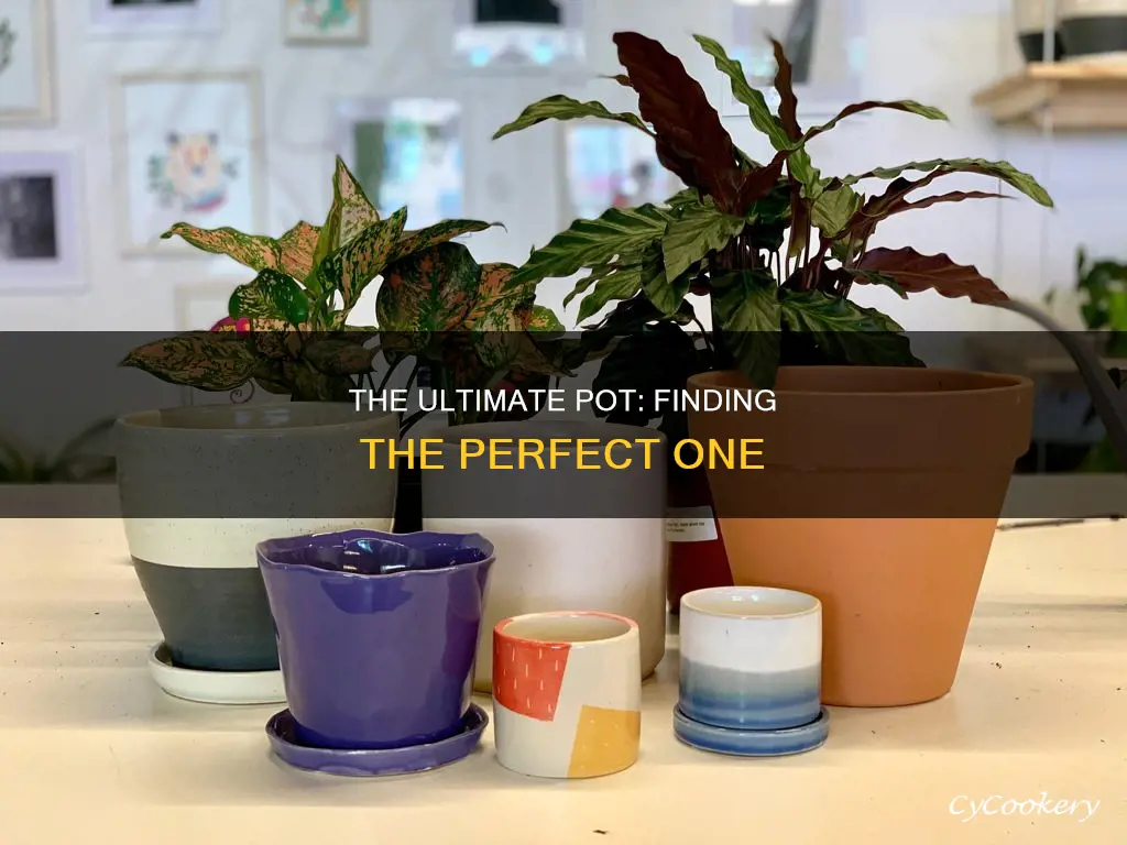 what is the best pot