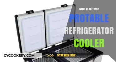 Top Portable Refrigerator Coolers: Ultimate Guide to the Best Options