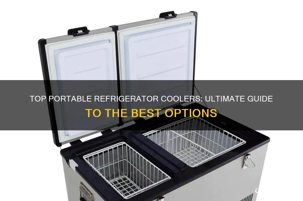 what is the best protable refrigerator cooler