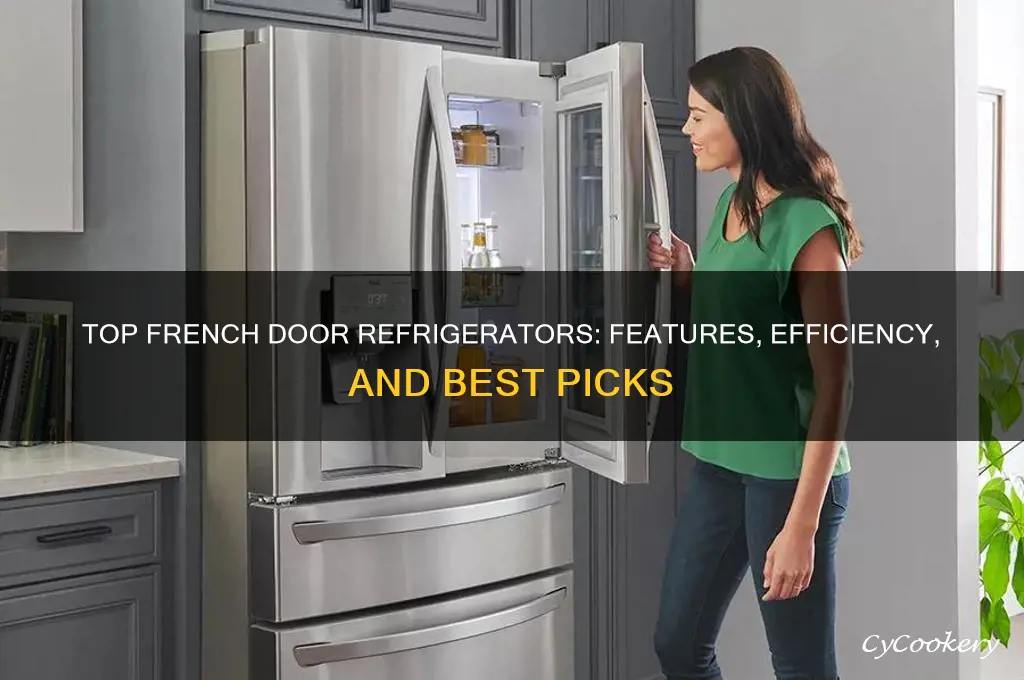 what is the best refrigerator french door