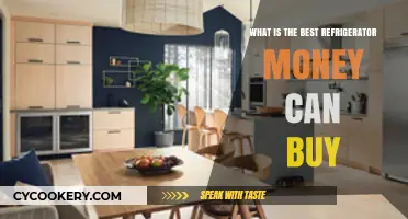 Top Luxury Refrigerators: Ultimate Guide to the Best Money Can Buy