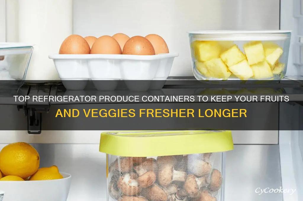 what is the best refrigerator produce container