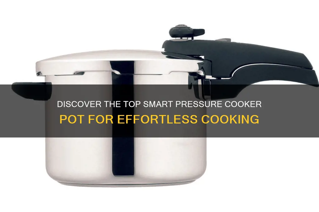 what is the best smart pressure cooker pot