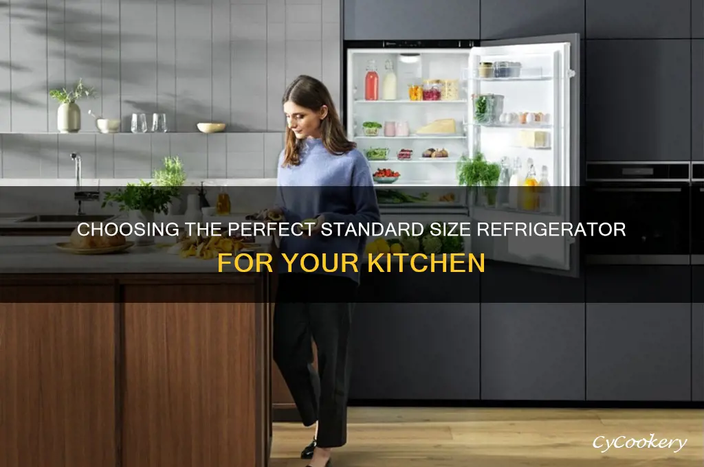 what is the best standard size refrigerator
