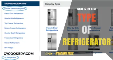 Choosing the Perfect Fridge: Top Refrigerator Types Compared for Your Home