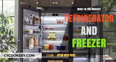 Discover the Largest Refrigerator and Freezer Models Available Today