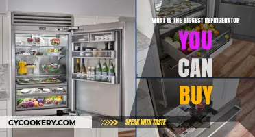 Discover the Largest Refrigerator Models Available for Maximum Storage
