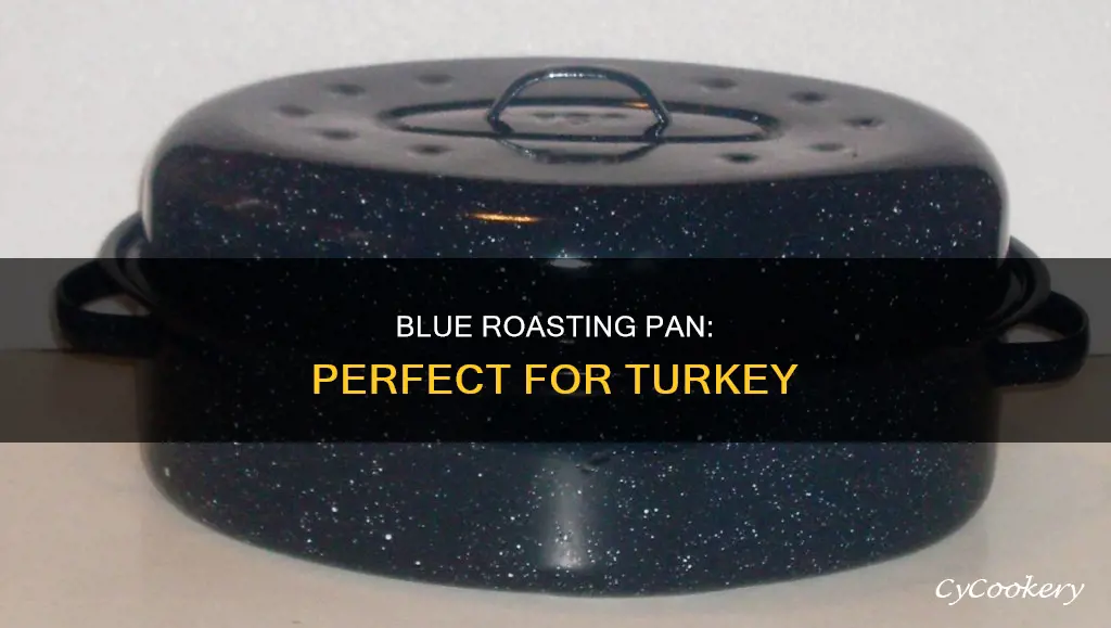 what is the blue roasting pan for a turkey