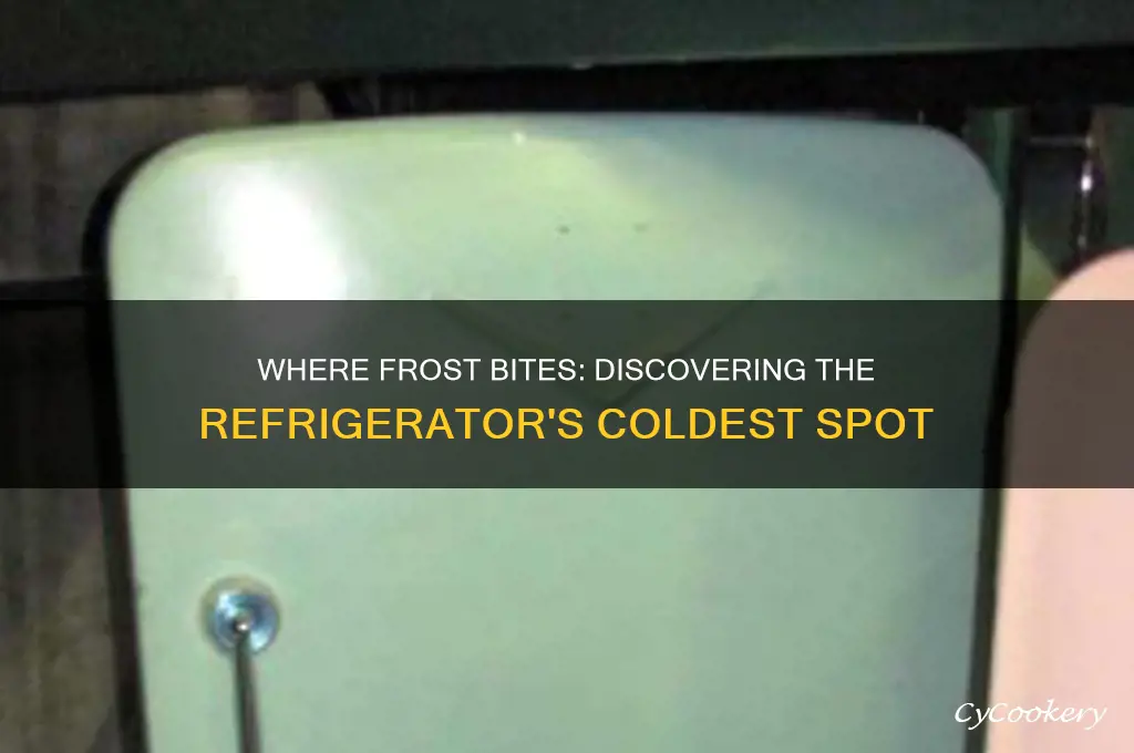 what is the coldest part of a refrigerator