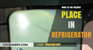 Chilling Truth: Where Your Fridge's Coldest Spot Hides Food Best