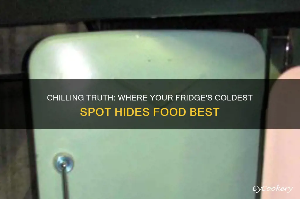 what is the coldest place in refrigerator