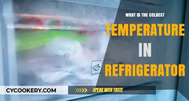 Chilling Facts: Understanding Your Refrigerator's Coldest Temperature