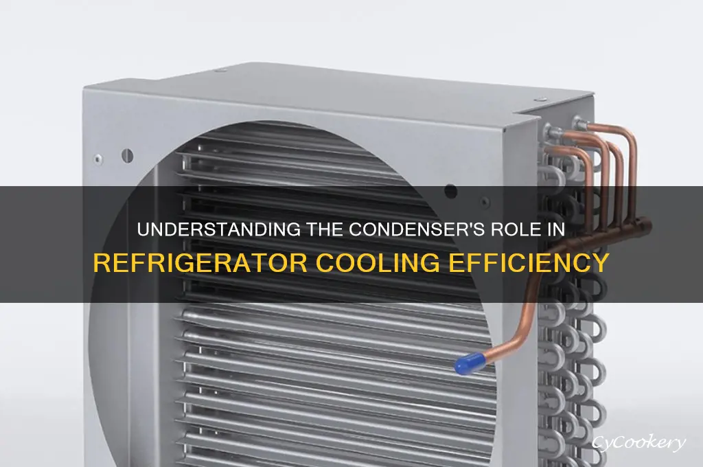 what is the condenser in a refrigerator