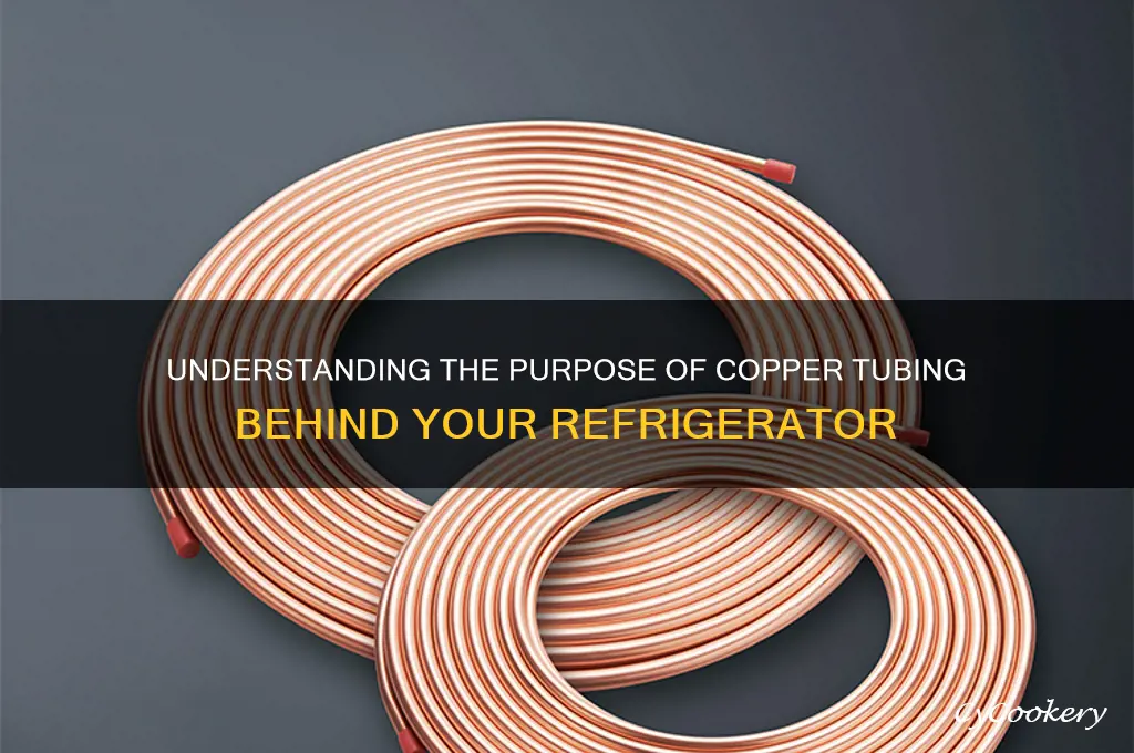 what is the copper tubing behind refrigerator